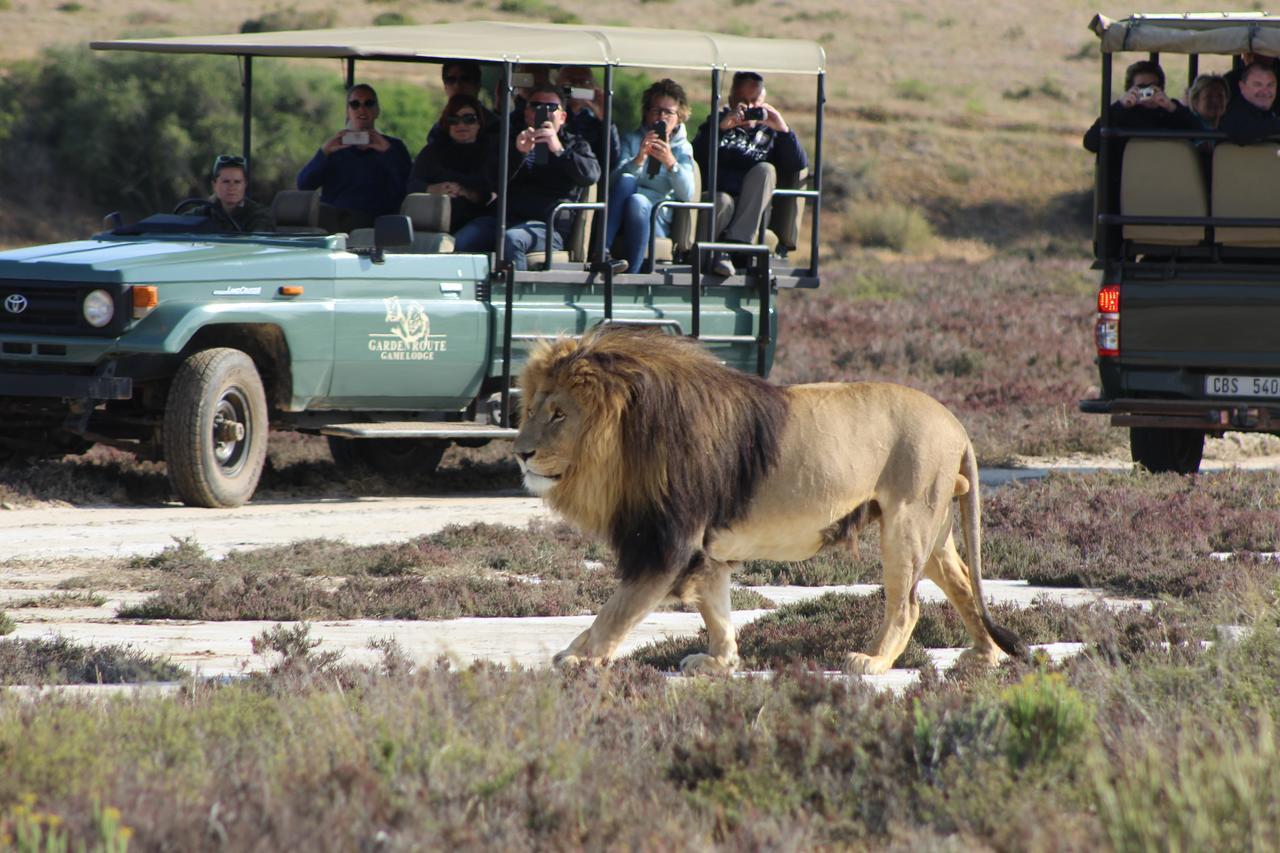 Garden Route Game Lodge Albertinia Exterior photo